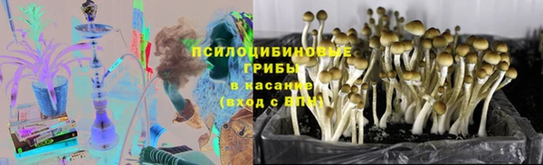 скорость Абаза