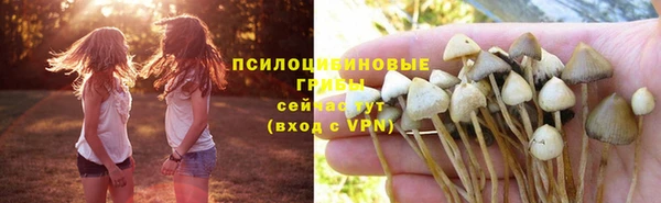 СК Абинск