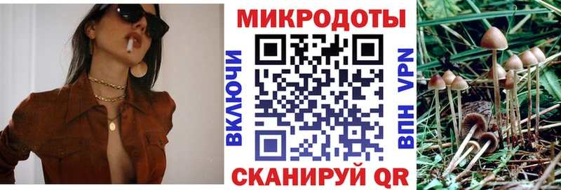 дарк нет какой сайт  Шиханы  Псилоцибиновые грибы GOLDEN TEACHER 